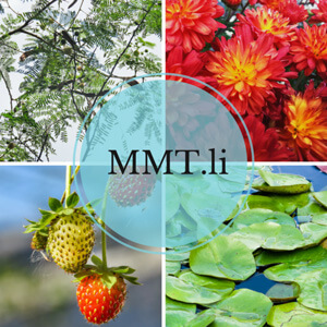 mmtli-cover-662x662.jpg mmtli-cover-662x662.jpg