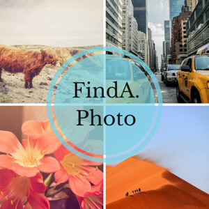 findaphoto-cover-662x662.jpg findaphoto-cover-662x662.jpg