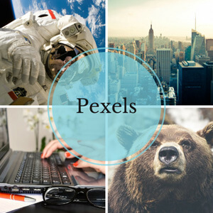 pexels-cover-662x662.jpg pexels-cover-662x662.jpg