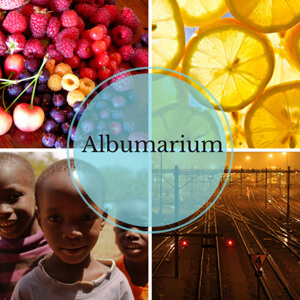 albumarium-cover-662x662.jpg albumarium-cover-662x662.jpg