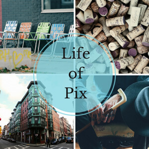 lifeofpix-cover-662x662.jpg lifeofpix-cover-662x662.jpg