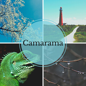 camaramade-662x662.jpg camaramade-662x662.jpg