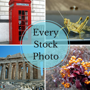 everystockphoto-cover-662x662.jpg