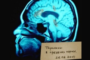 Тест: Какая соцсеть вам подходит?