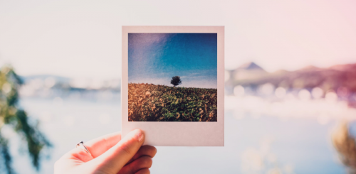 Важное за неделю: биржа авторов ВКонтакте и вся правда о TikTok