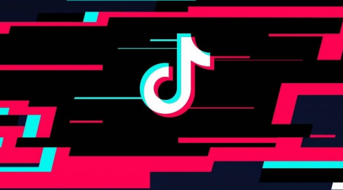 TikTok удален из Google Play и App Store в Индии