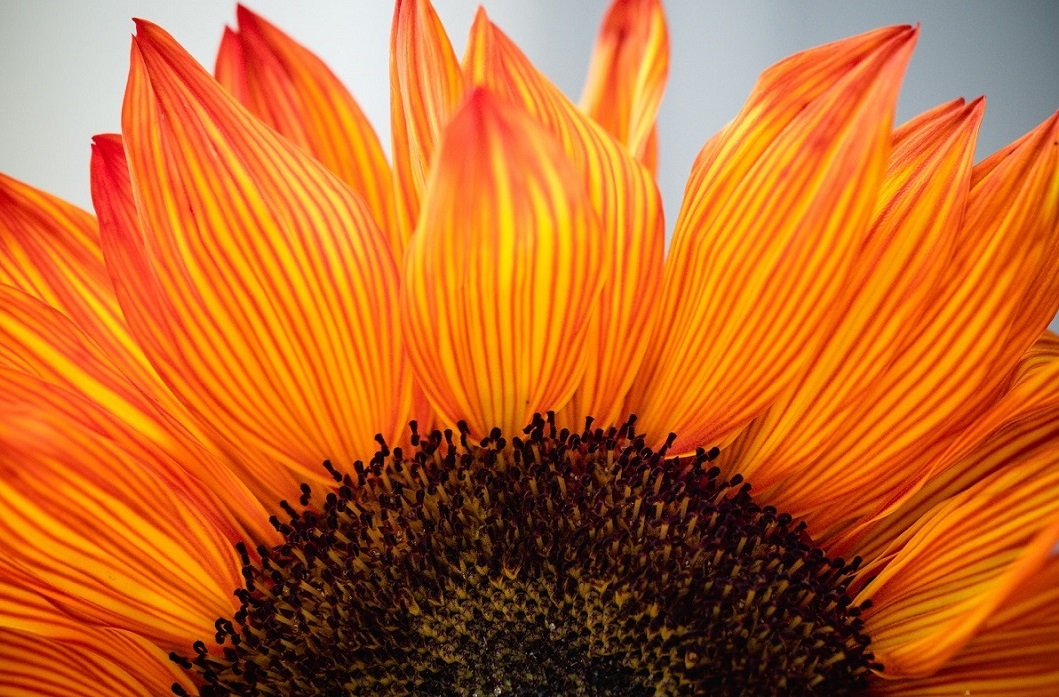 Email-маркетинг и storytelling: как создать историю, которая продает