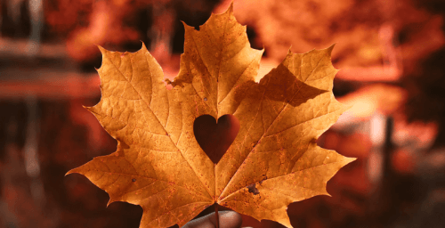 Дайджест осенних новостей таргетированной рекламы