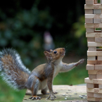 «Пиксель Тулс» анонсирует запуск модуля ведения SEO-проектов (CRM)