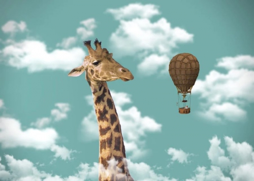 Мифы и правда о сквозной аналитике