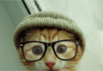 «Видеоблоги – это не телевидение, где на одном канале куча разных программ» «Видеоблоги – это не телевидение, где на одном канале куча разных программ»