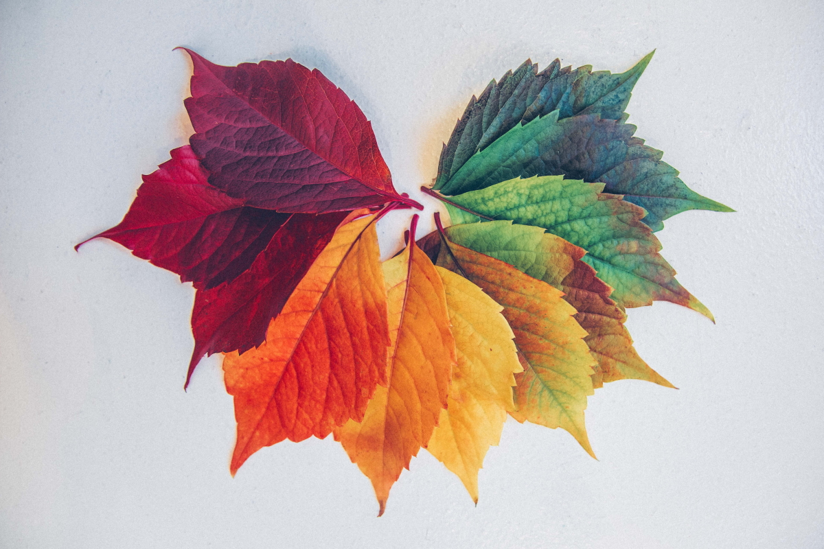 ВКонтакте изменит критерии прохождения верификации с 1 января 2024 года