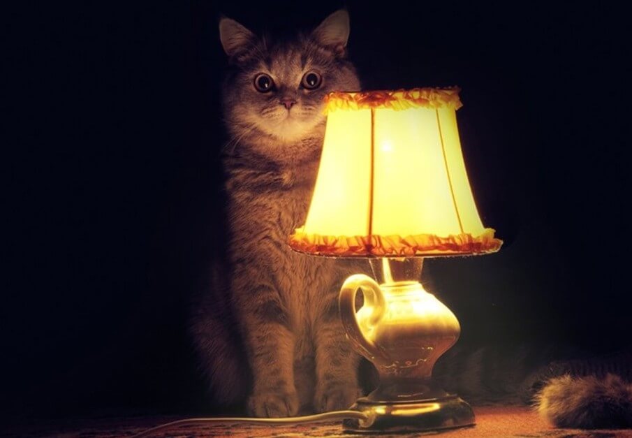 Самый полный гид по сторителлингу