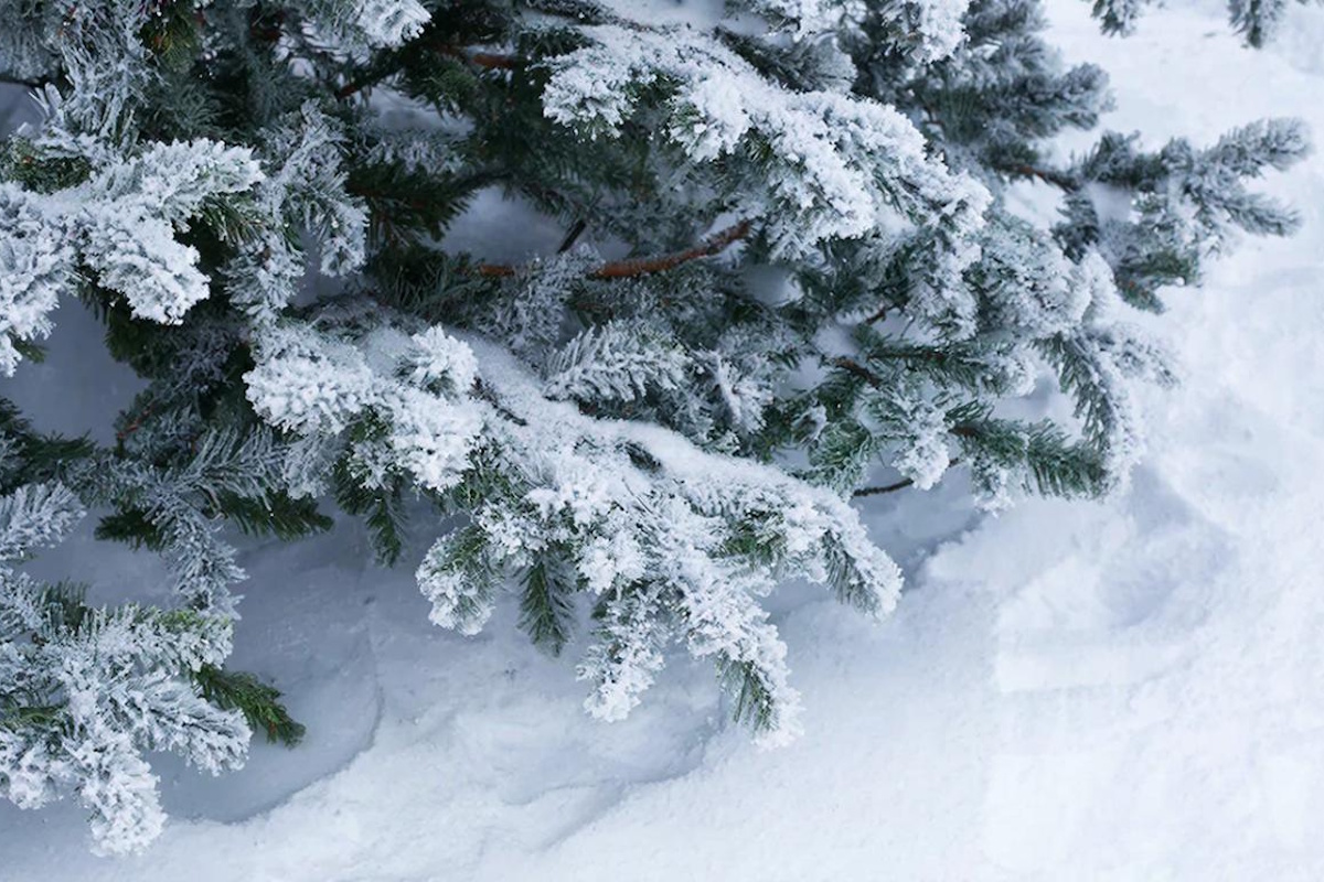 Топ-10 популярных материалов на Лайкни за 2025 год