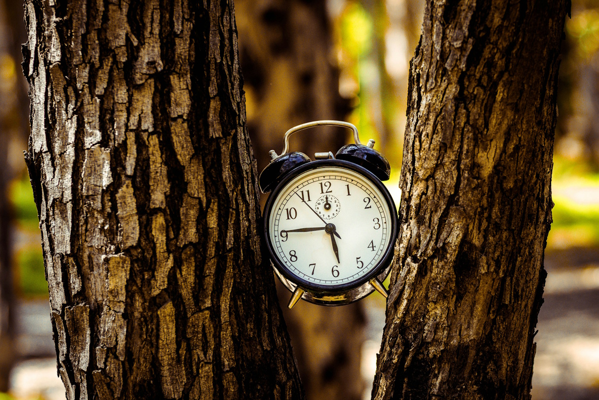 В какое время лучше публиковать посты в Telegram. Исследование