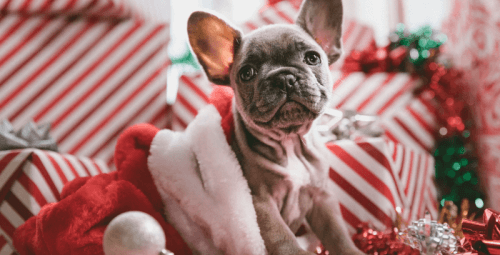 Предновогодний дайджест новостей таргетированной рекламы