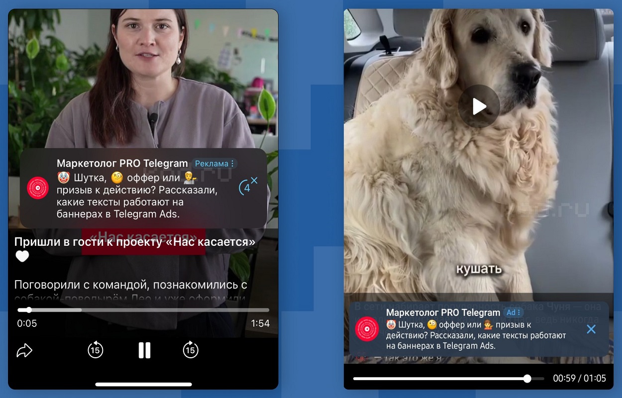 Реклама в видео в Телеграм Реклама в видео в Телеграм