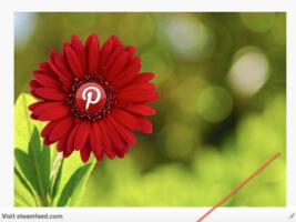 Pinterest: больше полезных пинов и вирусных возможностей