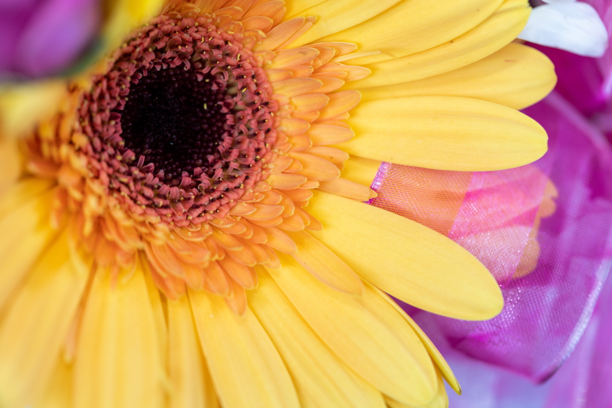 От смайлика до «медведа»: говорим об интернет-коммуникации последних лет