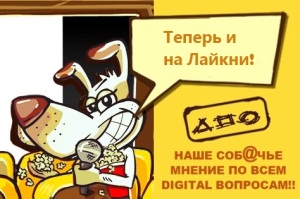 Новый раздел Лайкни – «Собачье Мнение»