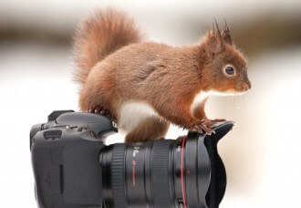 13 фоторедакторов, которые вам обязательно пригодятся