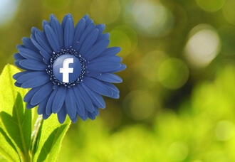 Как улучшить органический охват в Facebook Как улучшить органический охват в Facebook