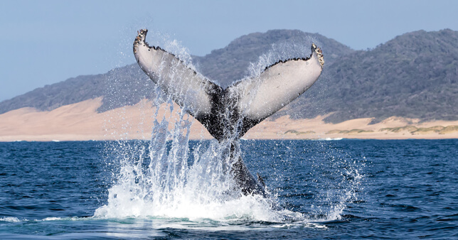 Продвижение в Instagram при помощи программы Socialkit