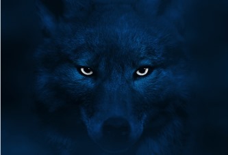 5 креативных кампаний, которые вы могли пропустить 5 креативных кампаний, которые вы могли пропустить