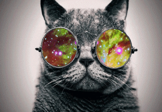 «Фабрика Лайков». Выпуск 2