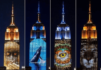 13 лучших брендовых Instagram-видео ноября