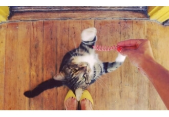 Instagram: синема, от тебя мы без ума