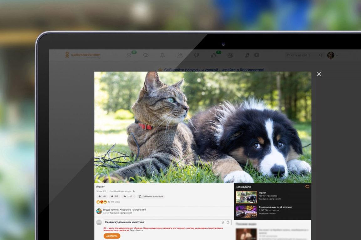 Одноклассники запустили нейросеть для борьбы с агрессивными комментариями