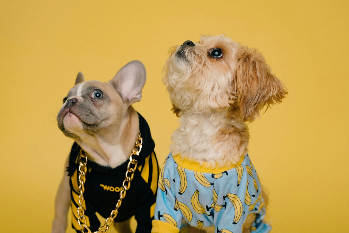 Сколько получают SMM-специалисты в 2025 году. Исследование