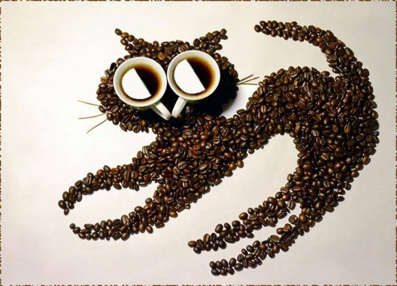 В Одноклассниках может появиться функция офлайн-платежей 