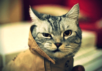 Суровая реальность российского RTB