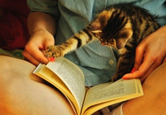 Однажды, в одном далеком королевстве…