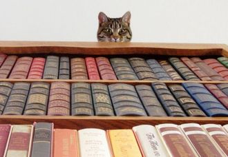 Книги для настоящих маркетологов Книги для настоящих маркетологов