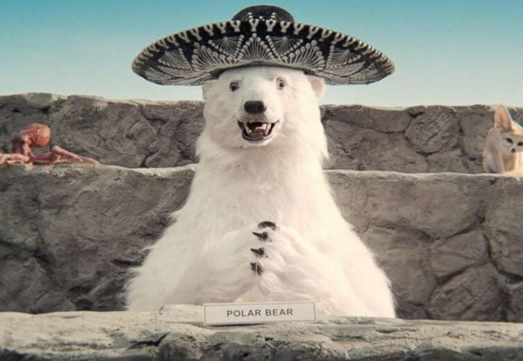 Лучшие видео за январь 2015