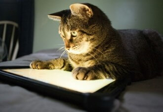 ВКонтакте запустил денежные переводы