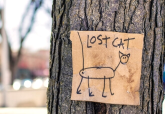 Показывай – и властвуй!