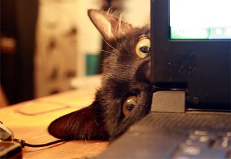 Украдено 33 млн паролей от Twitter