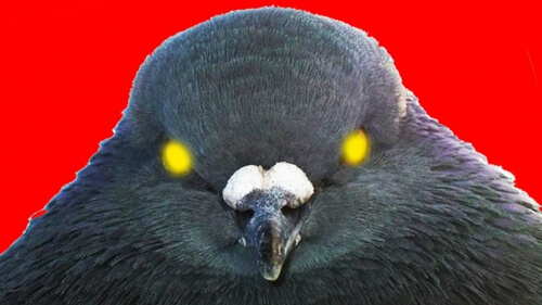 «Лаборатории Касперского» запретили размещать рекламу в Twitter