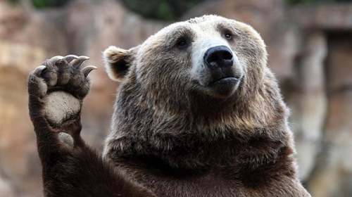 Важное за неделю: все говорят про TikTok и пользуются WhatsApp Важное за неделю: все говорят про TikTok и пользуются WhatsApp