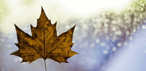 Важное за неделю: продажи в Viber и продвижение в Одноклассниках