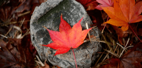 Планы на неделю: куда пойти учиться? Планы на неделю: куда пойти учиться?