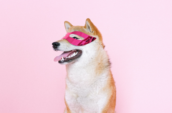 TikTok запускает в России вебинары для бизнеса