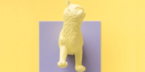 Важная рассылка Лайкни. Выпуск 2