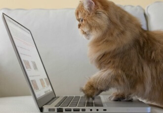 ВКонтакте появился автозапуск видео