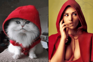 Секс в Интернете: голая правда о виртуальном