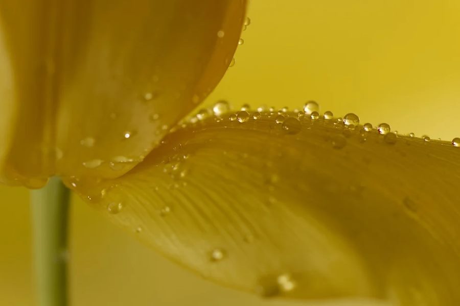 Матрицы расстановки приоритетов